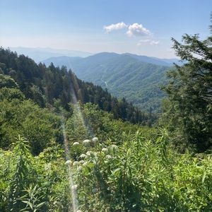 Meet your Posher, Ty